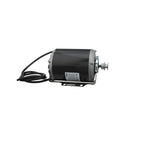 Diamond Polisher Replacement Motor